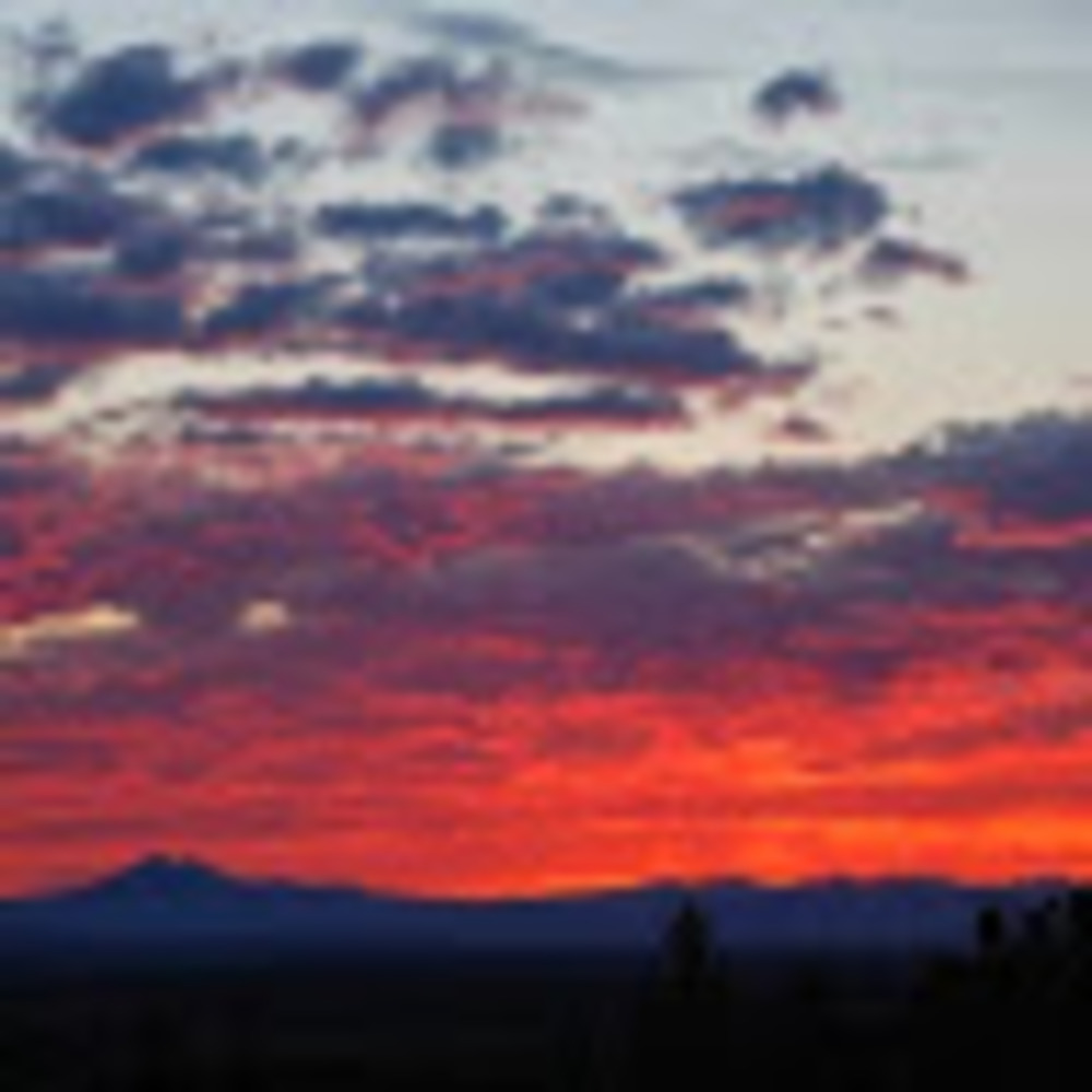 Meet your Posher, Chelsea